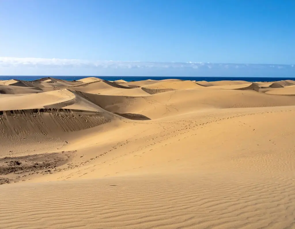 dunes of Maspalomas