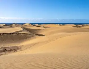 dunes of Maspalomas